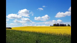 Beautiful Estonia: summer