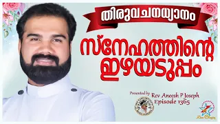 സ്നേഹത്തിൻ്റെ ഇഴയടുപ്പം | @JinoKunnumpurathu  | MORNING PRAYER | Rev. Aneesh P Joseph | Episode 1365