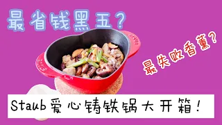 最省钱黑五开箱｜Le Creuset 铸铁锅平替Staub｜anthropology扩香器踩雷｜最成功也是最失败的一次购物经验？｜第一次用它做煲仔饭很成功