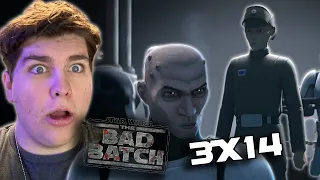 The Bad Batch | 3x14 REACTION | Flash Strike | FINAL SEASON