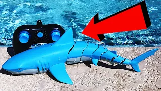 Top 5 Best Remote Control Sharks on Amazon!