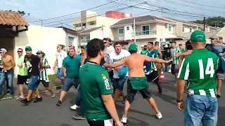 Império Alviverde em São José dos Pinhais!