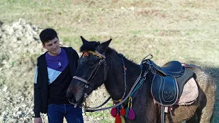 adını duyunca nasıl geliyo iste bakın🏇 #keşfet #horse #horselover #aboneol #horsehorse training