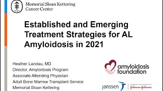 Established and Emerging Treatment Strategies for AL Amyloidosis in 2021