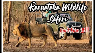 Lion On Roads 😱😱 Karnataka Wildlife Safari 🦁 || Bannerghatta National Park #junglesafari #safari
