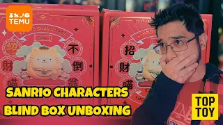 Temu Haul | Sanrio Characters Lucky Cat Tumbler | Blind Box Opening