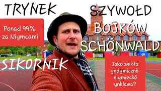 SZYWOŁD/BOJKÓW/SCHÖNWALD, TRYNEK, SIKORNIK (GLIWICE 8/8) - niymieckŏ ynklawa. Rajzy Gōrny Ślōnsk #95