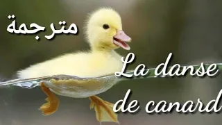 La danse des canards - مترجمة 🦆🦆 J. J Lionel 💖💖