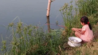Traditional girl || Best hook fishing video || Fishing catfishes  by hook ||#Fishing#videos