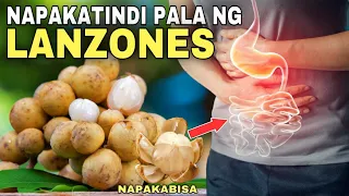 LANZONES: 10 HEALTH BENEFITS & RISKS OF EATING LANZONES FRUIT | Ang dami pala nagagamot ng Lanzones