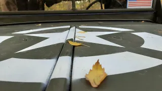 Dodge WC51...Autumn driving