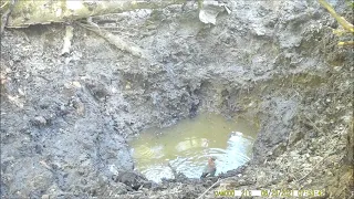 Птички на искусственном водопое. Birds at an artificial watering hole. Vögel auf dem Wasser.