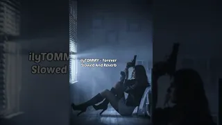 ilyTOMMY - Forever (S L O W E D + R E V E R B )
