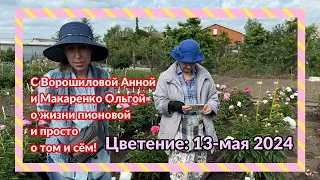 О том, о сём и о пионах / Сад Ворошиловой