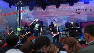 Андрей Ковалев Сиротинушка