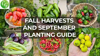 September Garden & Gardening Tips: Dive into Fall Harvests & Expert Planting Techniques