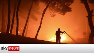 Over 150 wildfires across Greece