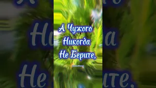 «Вас не любят? Ерунда… Вы ЛЮБИТЕ!» – великолепное стихотворение на все случаи жизни