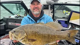 Big Prespawn Smallmouth Bass