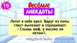 Отличная Подборка Анекдотов! Лучшие Весёлые АНЕКДОТЫ для Настроения! Выпуск 19