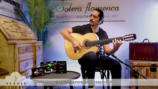 Jerónimo Pérez 2023 flamenco guitar for sale played by José Andrés Cortés