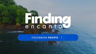 Finding encanto - Episode 2 - Colombian Pacific