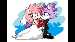 amy and blaze get married then divorced sonic rush fandub