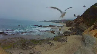 A Mental Mix With A Laguna Beach  Sunrise