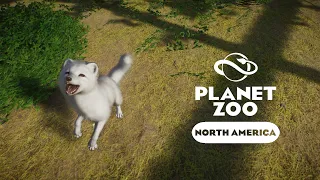 Planet Zoo: North America - Песец