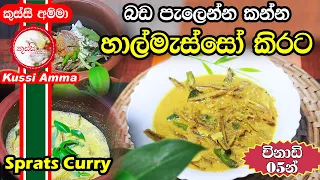 Sprats Curry By Kussi Amma | විනාඩි 05න් හාල්මැස්සෝ කරියක් කිරට | Special Halmasso Curry | New Foods