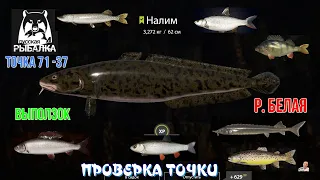 # 🐠РУССКАЯ РЫБАЛКА 4# 🐠#порыбачим #🐠#Р. БЕЛАЯ#🐠 ТОЧКА 71 -37🐠НАЛИМ  И ДРУГИЕ ВИДЫ 🐠ПРОВЕРКА ТОЧКИ🐠