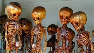 Thousand of Fairy and Giant Graves Discovered in America- Guests Gary Wayne- Chad Riley- Now You ...