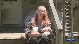 'It bit me': Woman uses two-by-four to fight off rabid fox outside Concord home