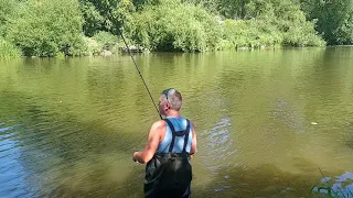 BARBEL FISHING ON THE FLOAT .