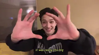chan talks abt huge insects, dances, ends up getting a selca tutorial from lee know 丨ep.198 pt.2