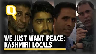 'Fresh Rumours Torture Us Everyday': Kashmiri Locals on Article 370 | The Quint