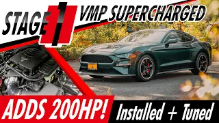 Is This The Ultimate Daily Driver Mustang GT Package?