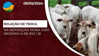 Relação de troca na reposição piora com bezerro de R$300 a arroba ; cotação já é realidade em alg...