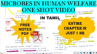 Microbes In Human Welfare ONE SHOT VIDEO | In Tamil | Class 12 | FREE NOTES PDF| #Term2 | In 1 Hour|