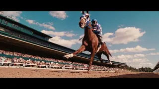 Secretariat Last Race 720p English