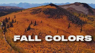Top 5 Fall Destinations in the Eastern Sierra ~ Best Fall Colors