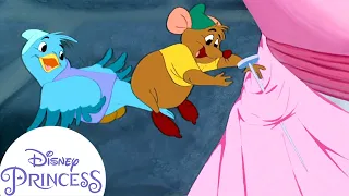 Gus Makes a Dress for Cinderella! | Disney Princess