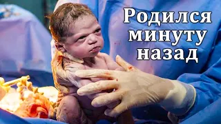 Долго не сможете уснуть после этого Документального Фильма О ЖИЗНИ