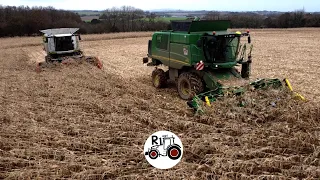 MAIS GRAIN 2023 APRES LA TEMPETE CIARAN CONDITIONS DIFFICILES ETA DE L'ELORN CORN HARVEST