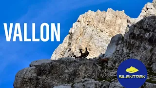 VALLON [4K] - Brenta Selvaggio