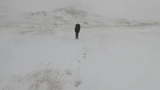 2019 Adak Caribou Hunt