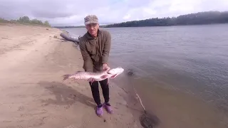 На Оби щуки монстры отрывают поводки! В Томской области без рыбы не останешься! ( часть 2)