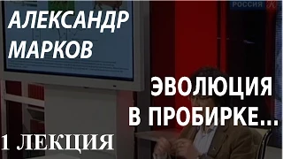 ACADEMIA. Александр  Марков. Эволюция в пробирке... 1 лекция. Канал Культура