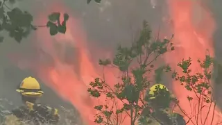 Cal Fire Crews Fighting More Than Flames