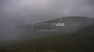 Vaia, la notte che ha cambiato le Dolomiti: il docu-film